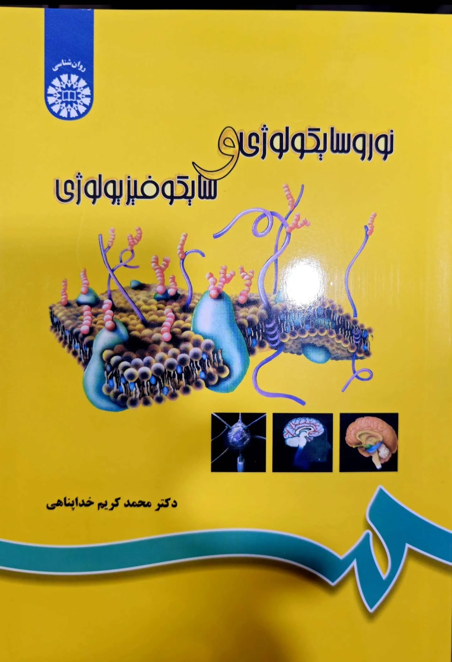 نوروسایکولوژی و سایکوفیزیولوژی