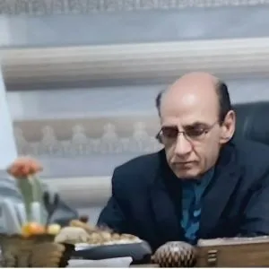 محمدتقی میرزابیگی
