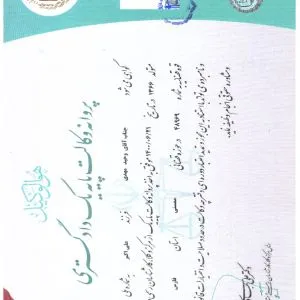 وحید مهدی