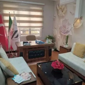 محمد مهدی بشیری