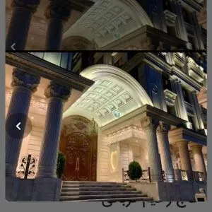 رونیکاپلاس