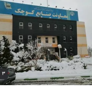 خدمات مالی و مالیاتی حقیقی و حقوقی