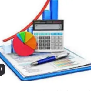 انجام کلیه خدمات مالی و مالیاتی