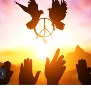 موسسه حقوقی