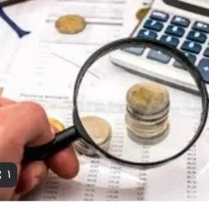 انجام خدمات مالی و مالیاتی