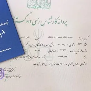 کارشناس رسمی دادگستری مهندس یاسر زارع نژاد