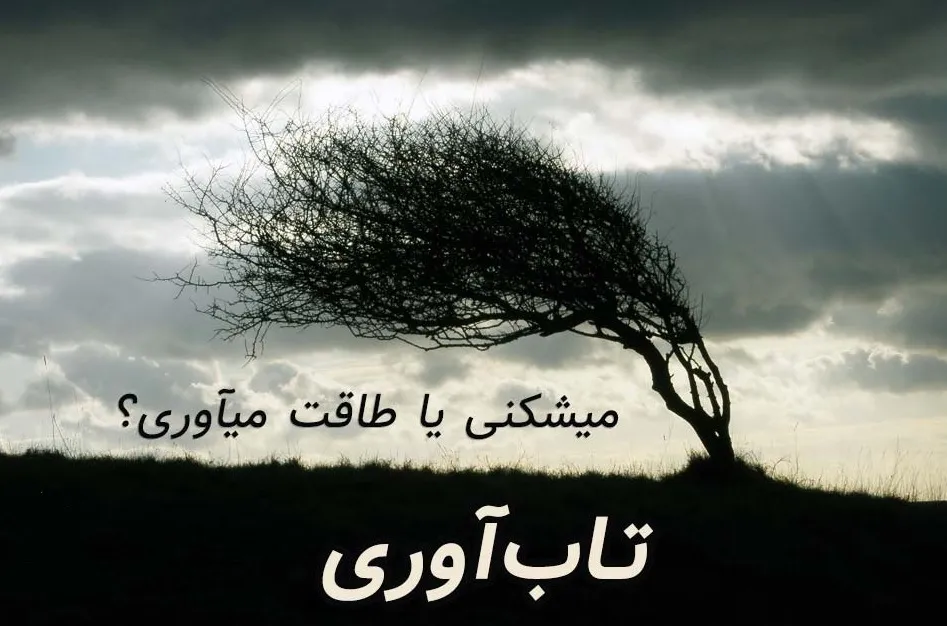 
 ویژگی های...