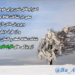 ‍ #تاب آوری...