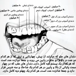 دیه دهان و...