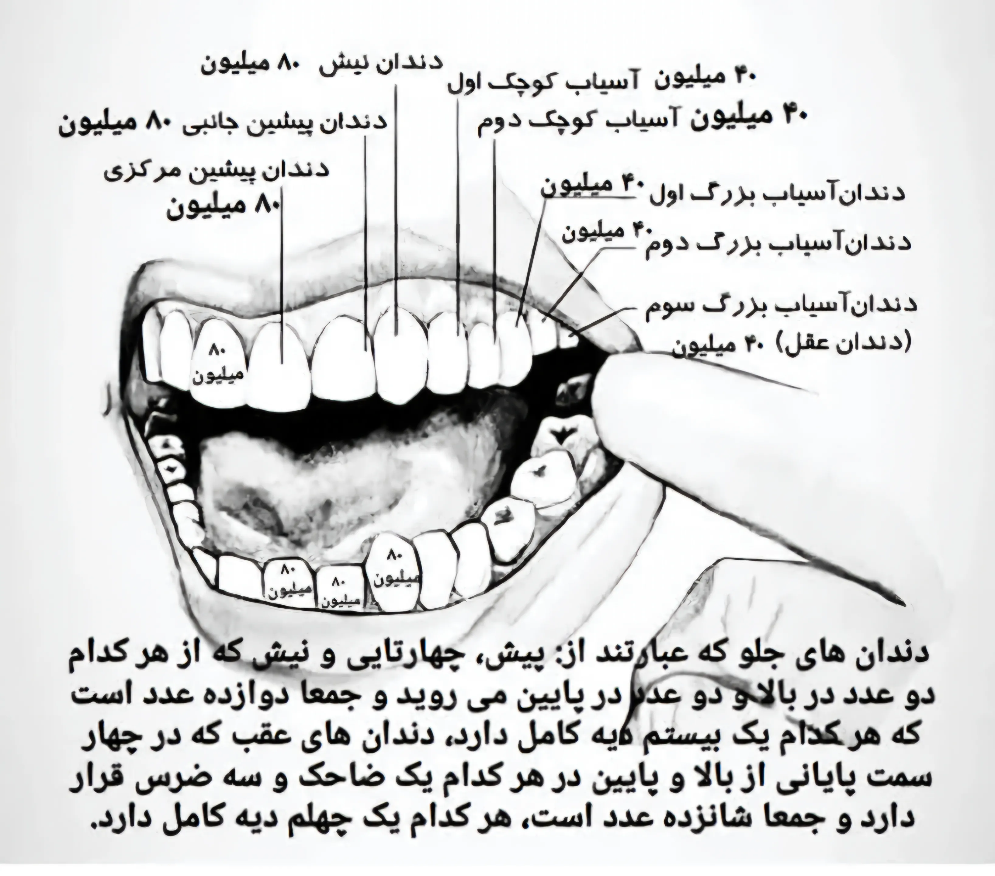 دیه دهان و...