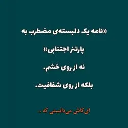 پارتنر های...