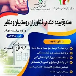 صندوق بیمه...